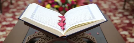 ⁦قلم⁩ - الصورة ⁦3⁩